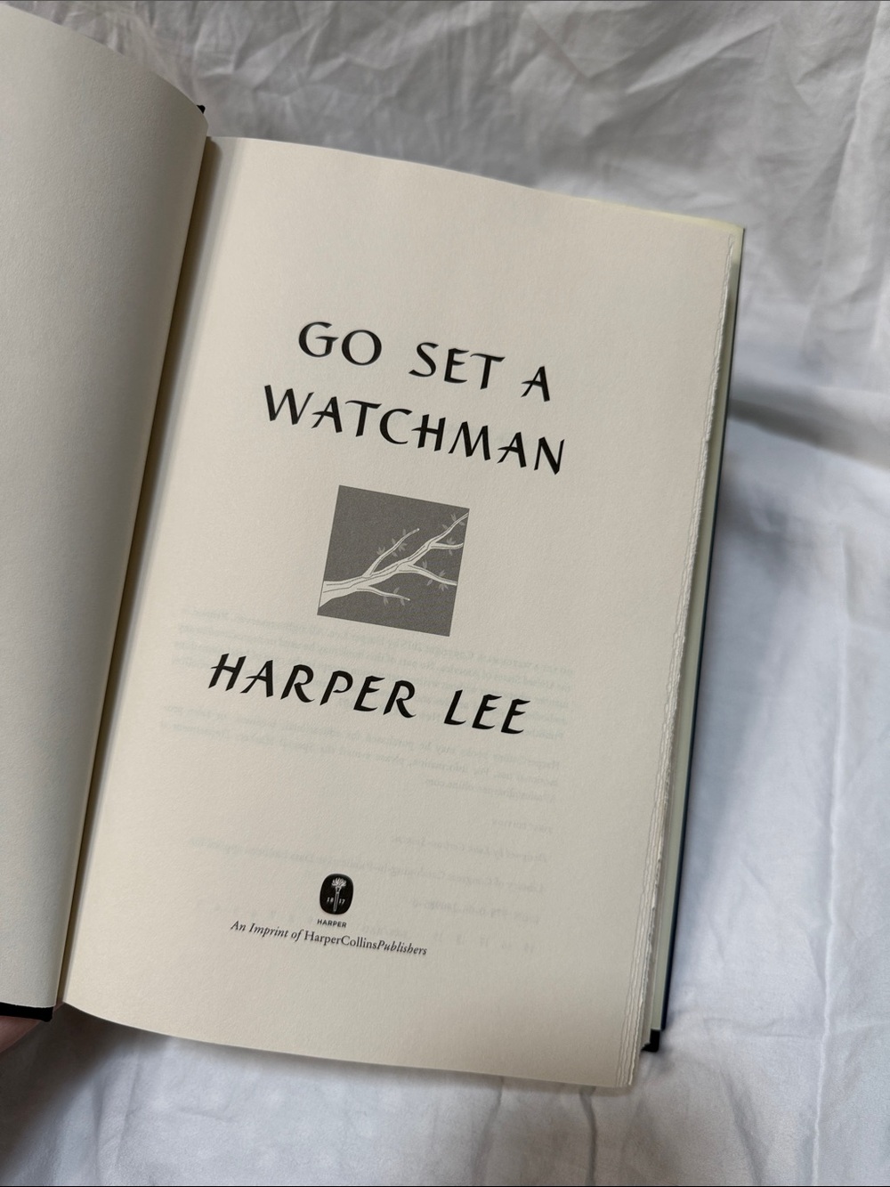 The Secret of the Nightingale Palace & Go Set a Watchman Historical Book Bundle - Picture 13 of 16